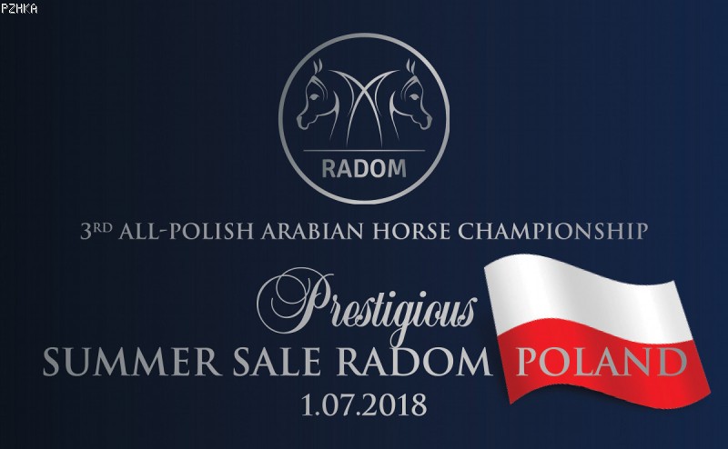 SUMMER SALE RADOM 2018, POLAND