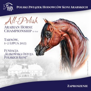 Pokaz All-Polish Arabian Horse Championship 1-2 lipca w Tarnowie!