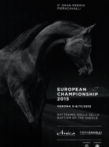 The 2015 European Championships in Verona