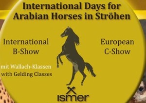 Ströhen - International Days for Arabian Horses