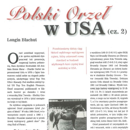 Longin Błachut: Polski Orzeł w USA (ARABY 3)