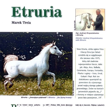Marek Trela: Etruria (ARABY 4)