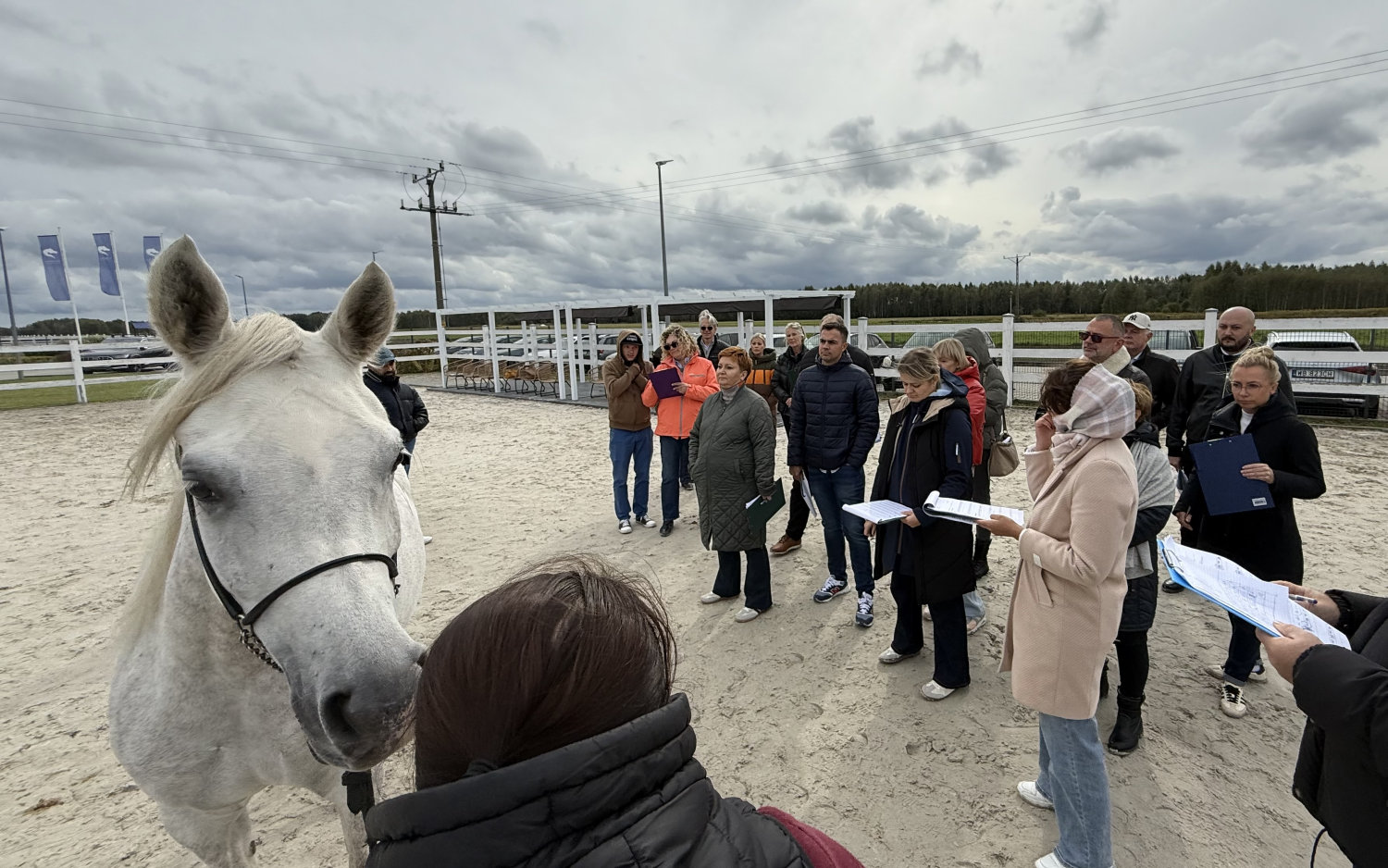 Looking at a horse is no biggie; can you judge one though?